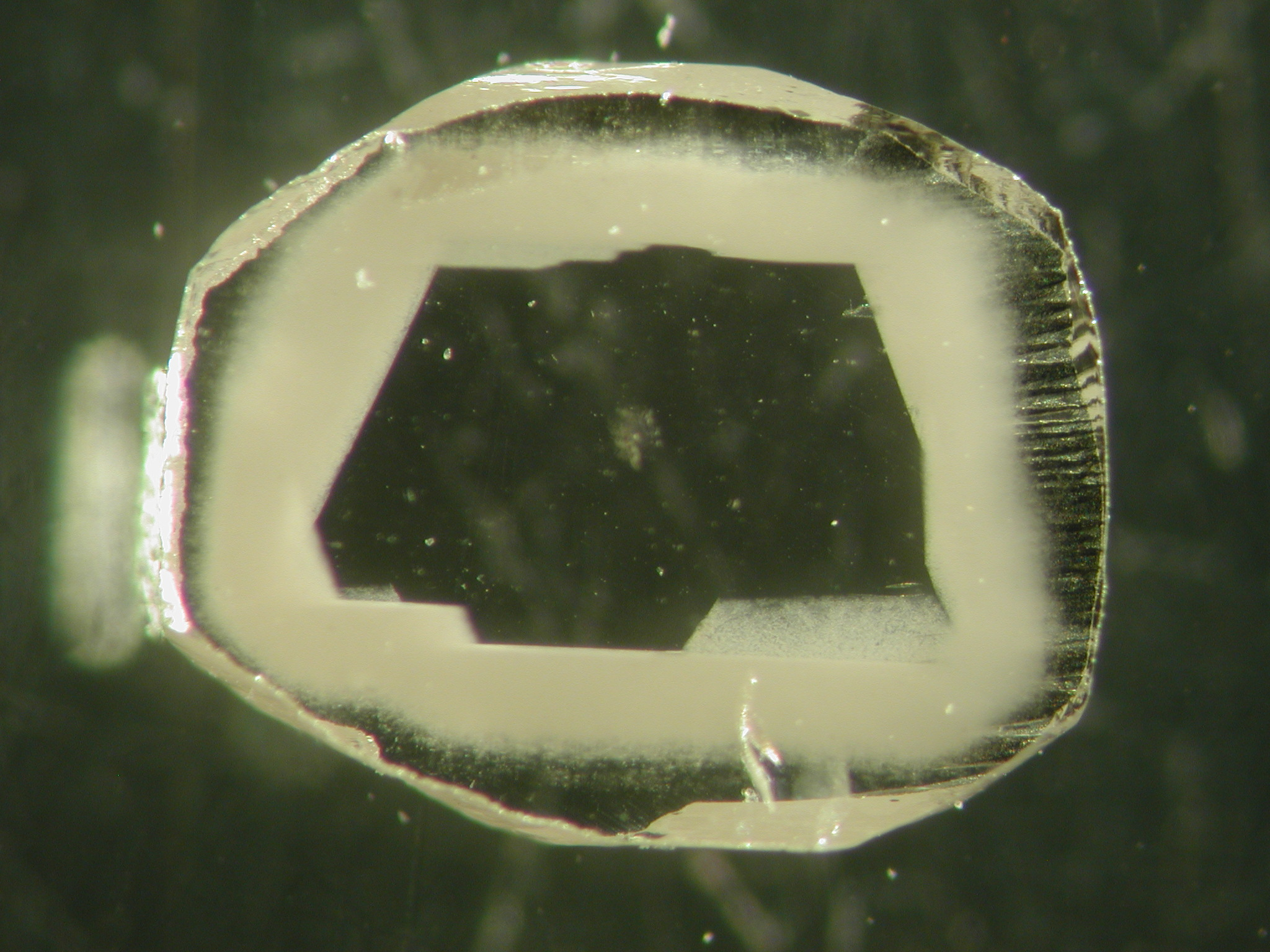 When sliced open the diamond reveals a clear core, surrounded by the cloudy zone loaded with intrusions.